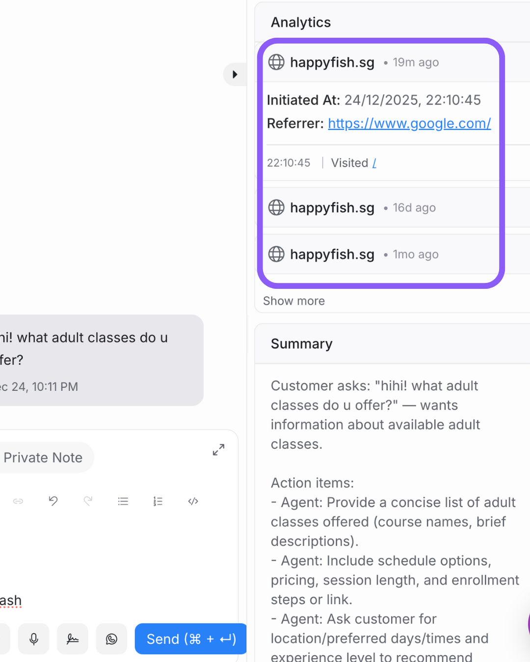 Conversation panel showing the Analytics section with referrer (google.com), visit timestamps, and visit history.